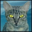 Ksuha-kat